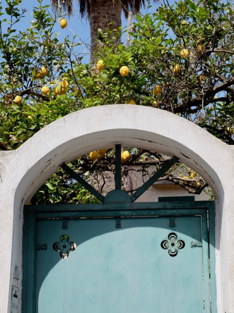 loads of lemons on Procida