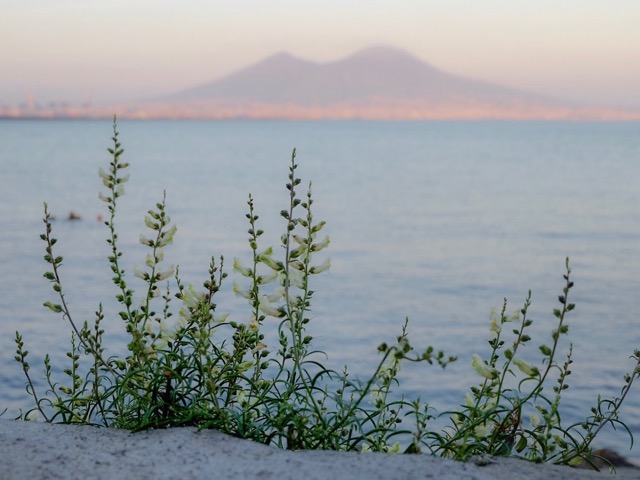 mount vesuvius